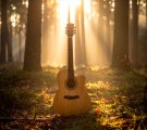 Voci e chitarre nella Notte